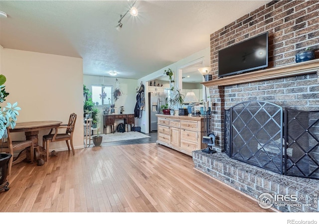 living room featuring a fireplace and light wood-type flooring