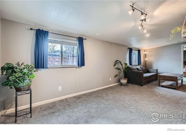 carpeted living room featuring rail lighting