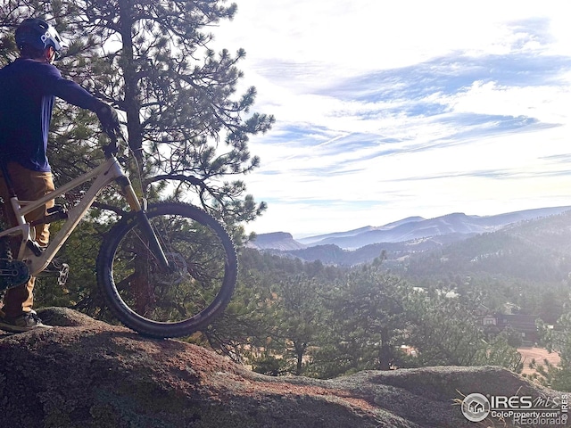 1553 Rowell Dr, Lyons, CO 80540 - view of mountain background