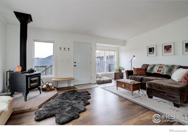 1553 Rowell Dr, Lyons, CO 80540 - living area featuring a wood stove, ornamental molding, plenty of natural light, wood finished floors, and a textured ceiling