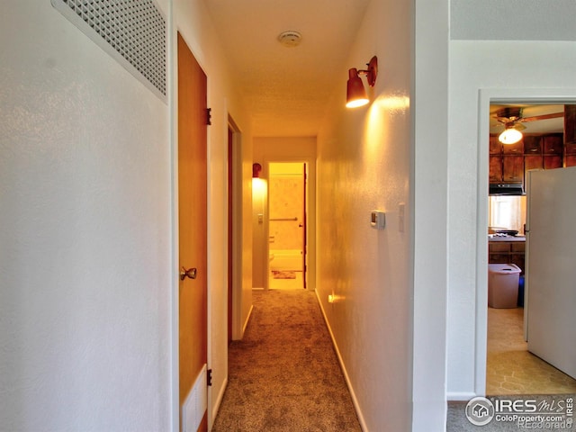 hallway featuring carpet flooring