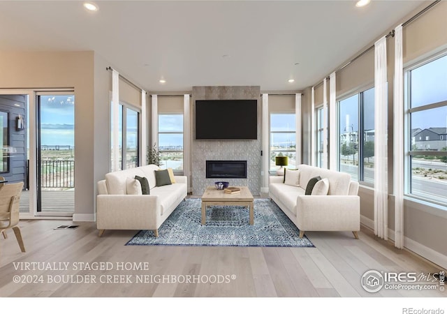 living room featuring a large fireplace, a healthy amount of sunlight, and light wood-type flooring