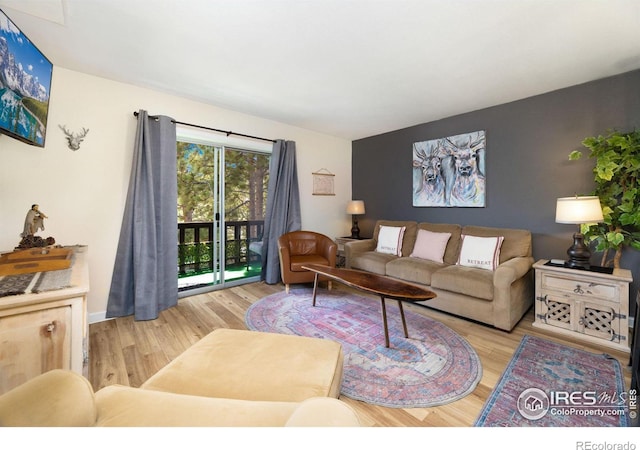 living room featuring light hardwood / wood-style floors