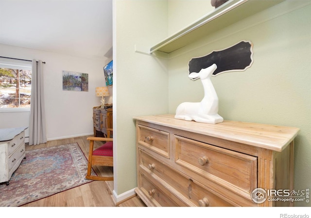 room details with vanity and light wood-type flooring