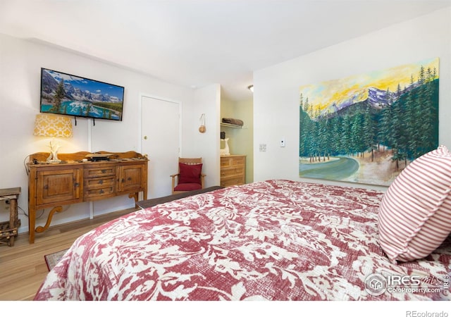 bedroom featuring hardwood / wood-style flooring