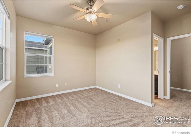 6925 19th St Unit 15, Greeley, CO 80634 - empty room featuring ceiling fan and carpet