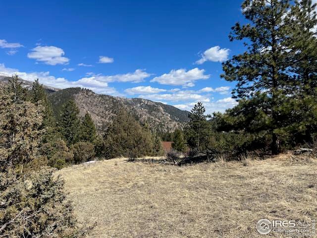 Listing photo 3 for 469 Miller Fork Rd, Glen Haven CO 80532