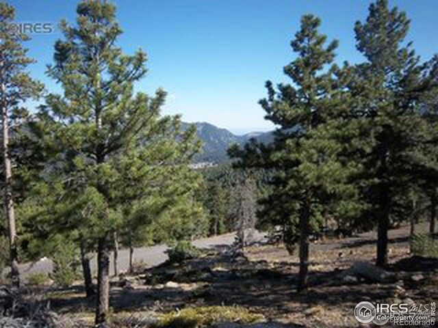 11717 Coal Creek Heights Dr, Golden, CO 80403 - photo 4