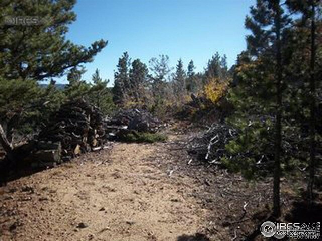 11717 Coal Creek Heights Dr, Golden, CO 80403 - photo 5