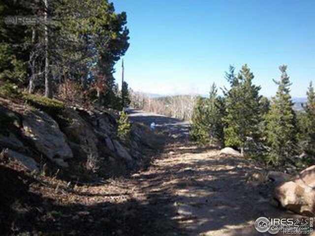 11717 Coal Creek Heights Dr, Golden, CO 80403 - photo 7