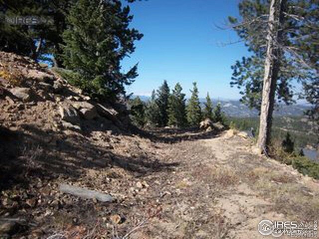 11717 Coal Creek Heights Dr, Golden, CO 80403 - photo 8
