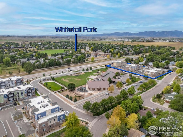 birds eye view of property featuring a mountain view