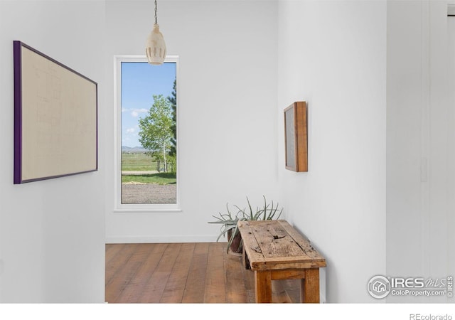 interior space featuring hardwood / wood-style flooring