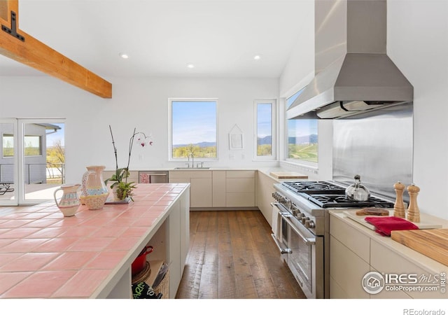 kitchen featuring sink, hardwood / wood-style flooring, stainless steel appliances, ventilation hood, and tile countertops