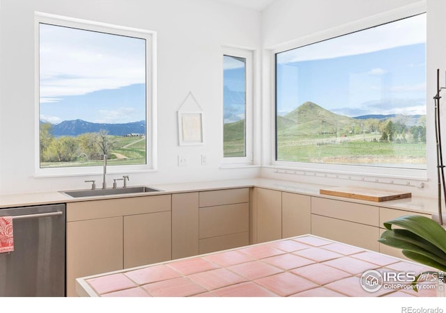 kitchen with a healthy amount of sunlight, a mountain view, sink, and stainless steel dishwasher