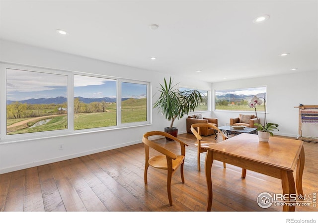 interior space with plenty of natural light, a mountain view, and hardwood / wood-style floors