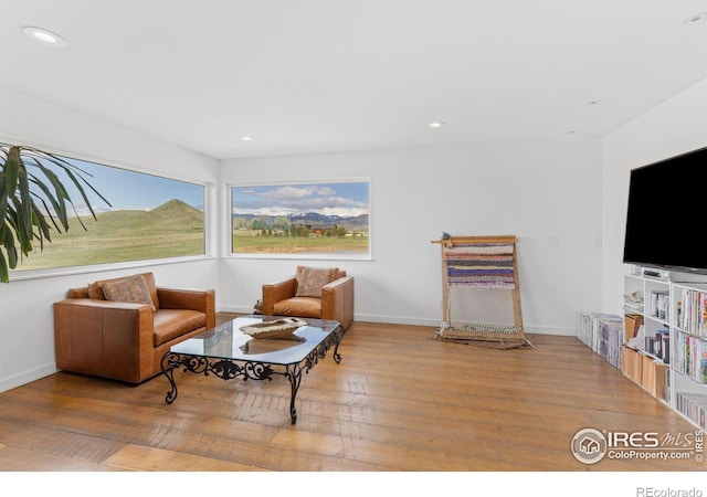 sitting room featuring hardwood / wood-style floors