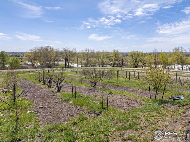 view of yard featuring a rural view