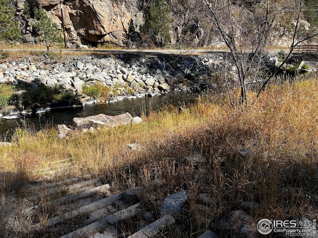 view of local wilderness