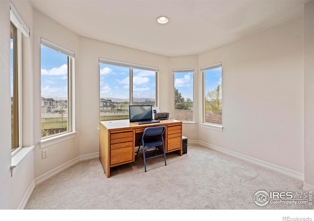 office space with light colored carpet