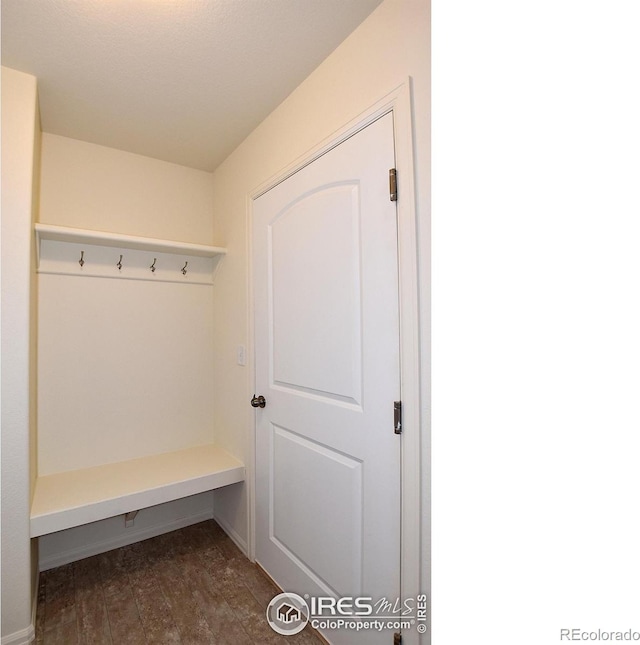 mudroom featuring dark wood-type flooring