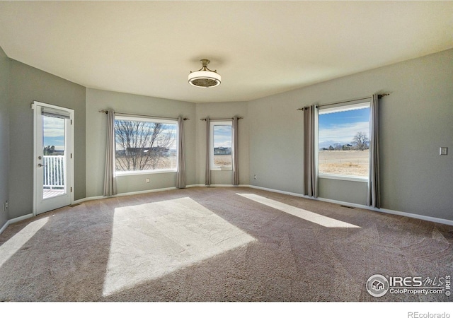 carpeted spare room with a wealth of natural light