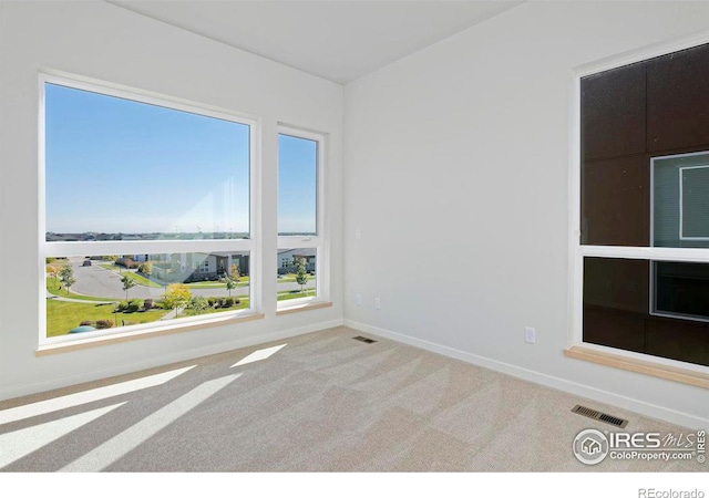 spare room featuring carpet floors