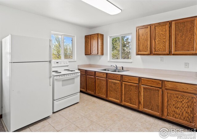 kitchen with plenty of natural light, white appliances, and sink