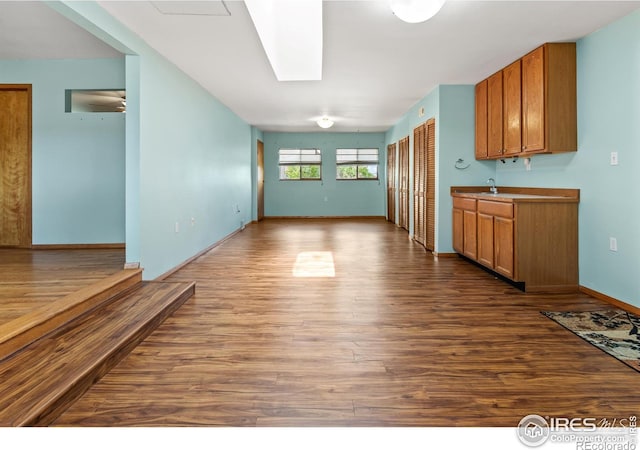 kitchen with wood-type flooring