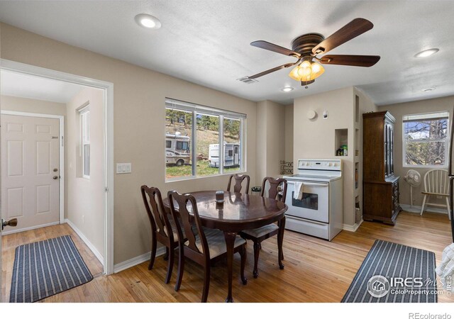 dining room with ceiling fan and light hardwood / wood-style floors