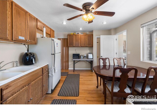 kitchen with light hardwood / wood-style floors, sink, ceiling fan, and white refrigerator