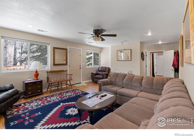 living room featuring ceiling fan and wood-type flooring