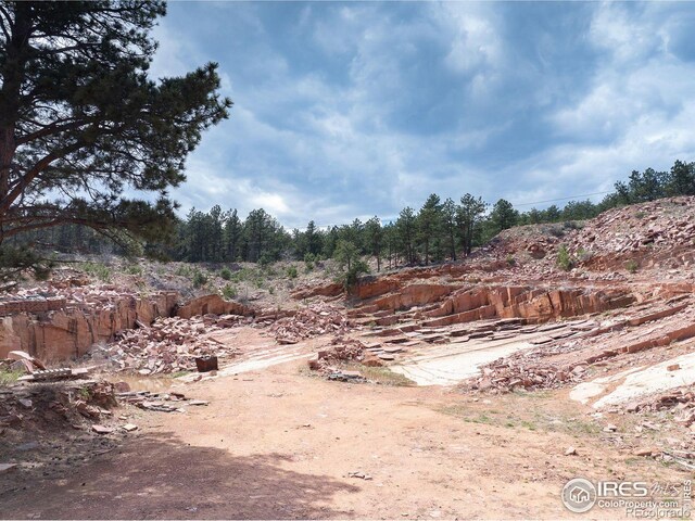 view of local wilderness