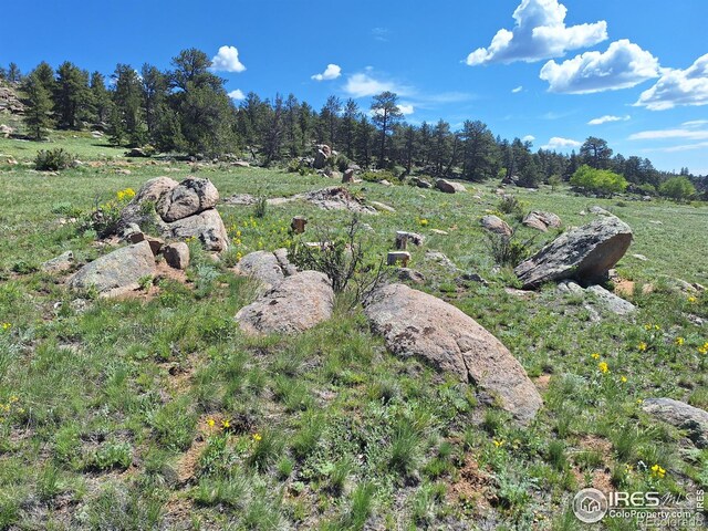 609 Navajo Rd, Red Feather Lakes, CO 80545