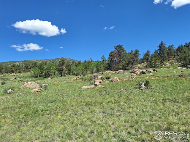 609 Navajo Rd, Red Feather Lakes, CO 80545