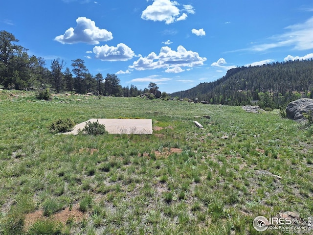 609 Navajo Rd, Red Feather Lakes, CO 80545