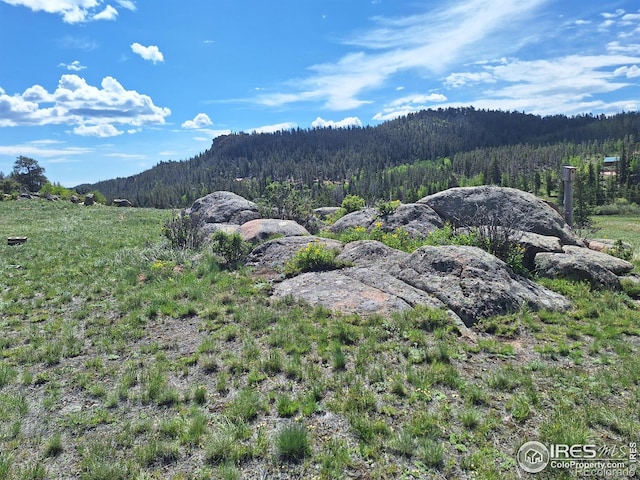609 Navajo Rd, Red Feather Lakes, CO 80545