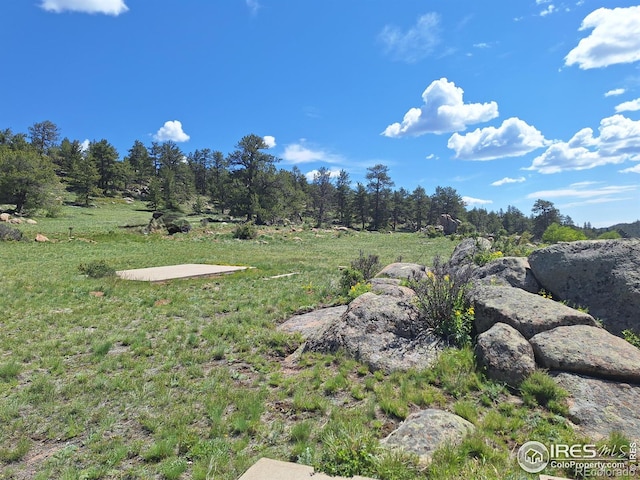 609 Navajo Rd, Red Feather Lakes, CO 80545