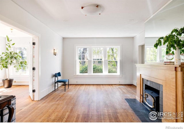 living room with light hardwood / wood-style flooring