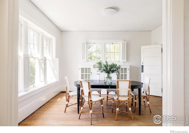 dining room with light hardwood / wood-style flooring