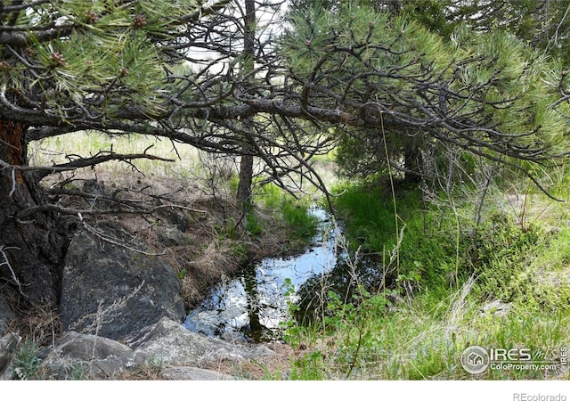 Listing photo 2 for 0 Gold Mine Rd, Loveland CO 80538