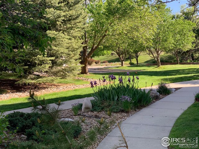 view of property's community featuring a yard