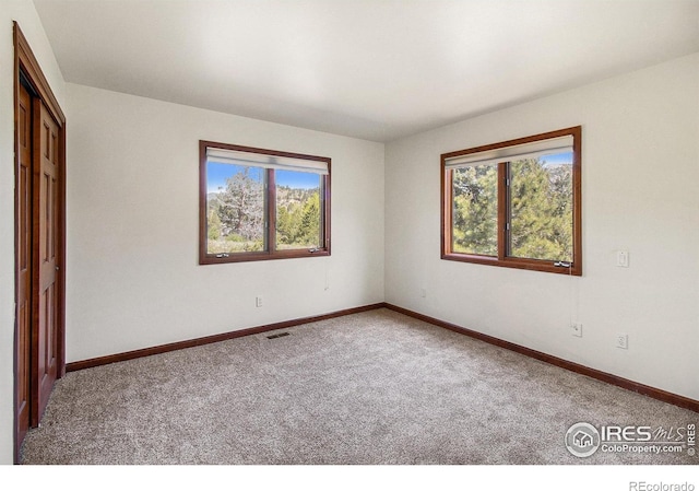 unfurnished room featuring carpet flooring and a wealth of natural light