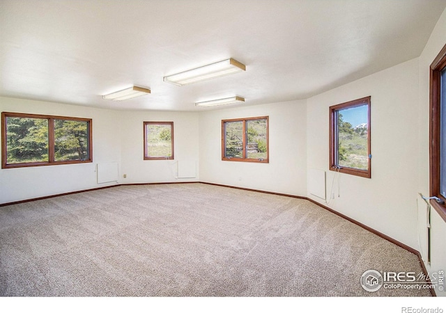 carpeted spare room featuring a wealth of natural light