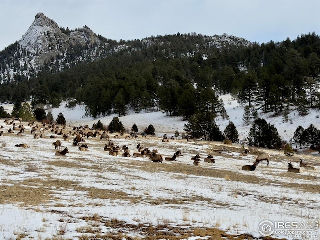 view of mountain feature with a rural view