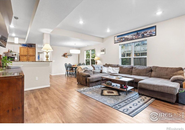 living room featuring light hardwood / wood-style flooring