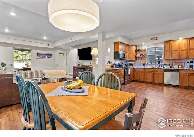 dining area featuring sink and wood-type flooring