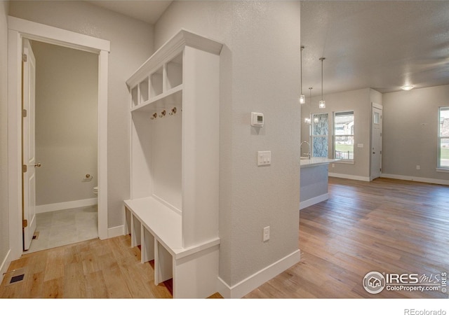 mudroom with light wood-type flooring