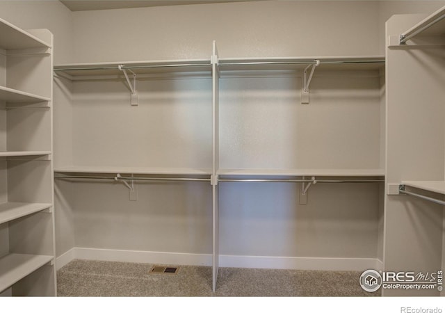 spacious closet featuring carpet floors