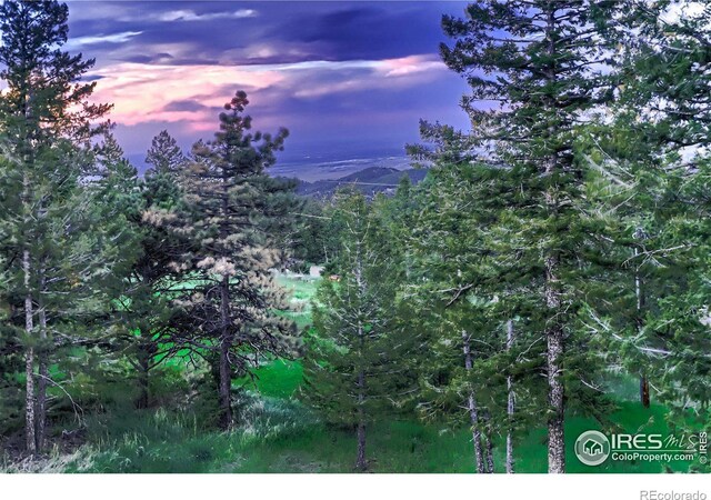 nature at dusk with a mountain view